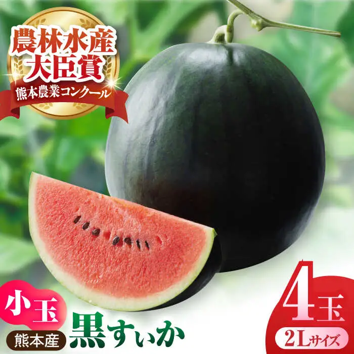 【先行予約】熊本スイカ 黒小玉すいか4玉2Lサイズ西瓜スイカZCM010