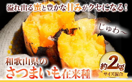 さつまいも 厳選 混合サイズ 2kg 在来種 みはらファーム