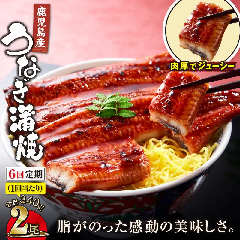 2323-1 【全6回定期便】鹿児島産うなぎ 合計340g（170g×2尾） 清らかな 地下水 育ち！ KN021-T19 鰻 魚 惣菜 総菜