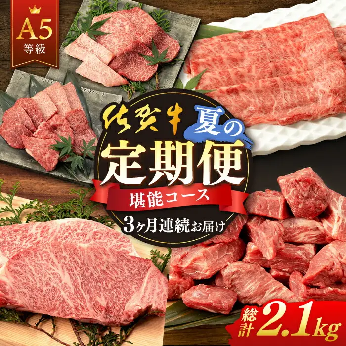 【定期便】 牛肉 佐賀牛 夏の定期便 NAB104 牛肉