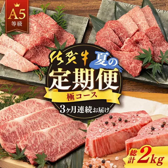 【定期便】 牛肉 佐賀牛 夏の定期便 NAB105 牛肉