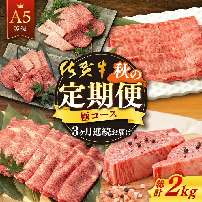 【定期便】 牛肉 佐賀牛 秋の定期便 NAB107 牛肉