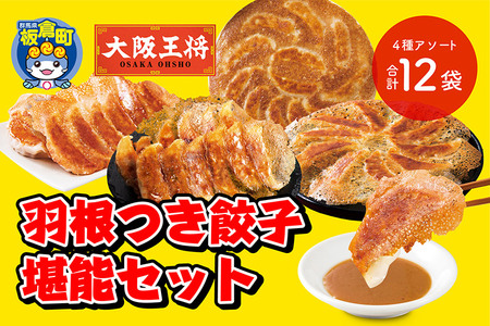 大阪王将 羽根つき餃子堪能セット(4種アソート)計12袋