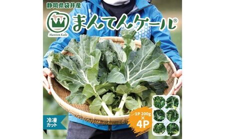 冷凍カットケール まんてんケール 野菜 冷凍カットケール【冷凍】