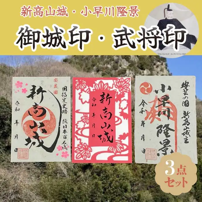 【新高山城】御城印 2種・【小早川隆景】武将印のセット 御城印 和柄 広島県三原市 110001