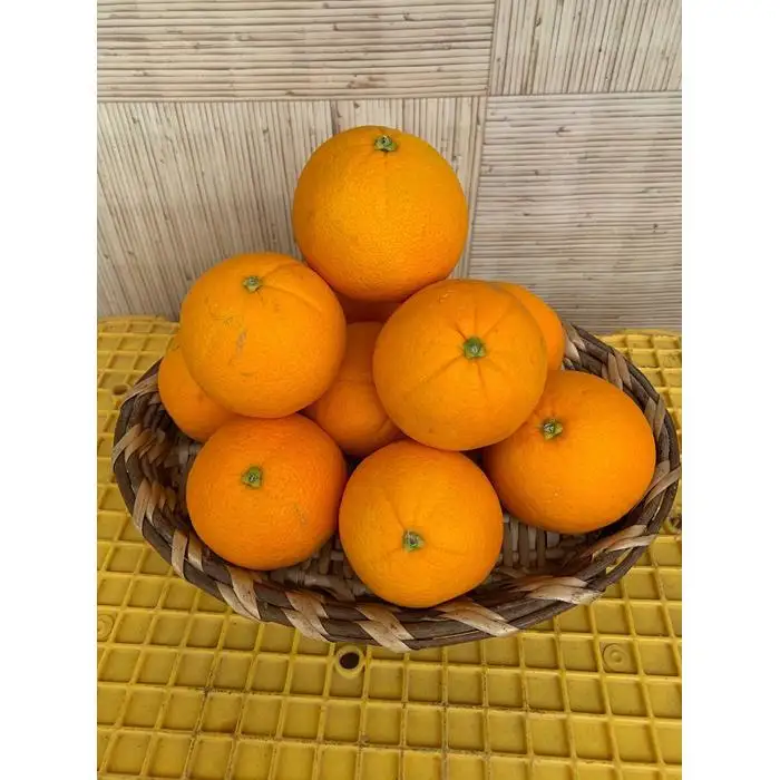 完熟ネーブルオレンジ 赤秀品 5kg（М・L・2L/サイズ指定不可）