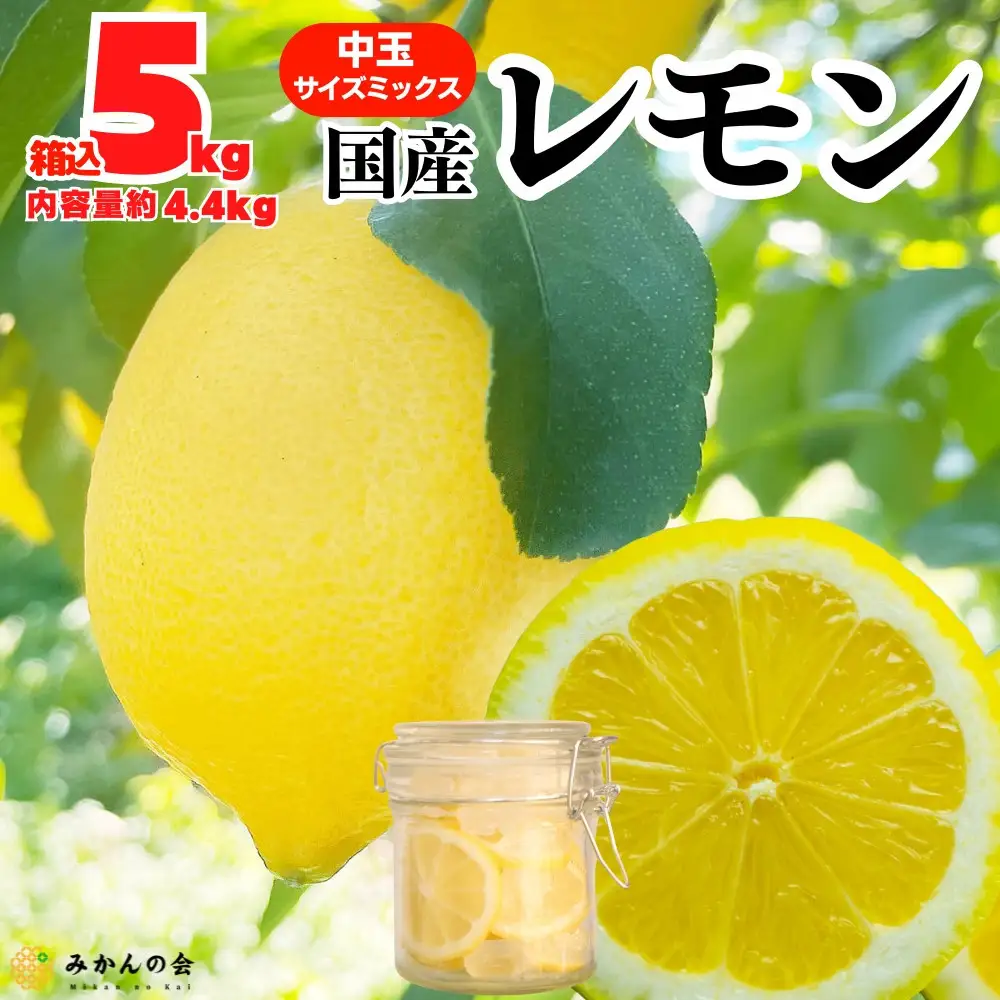 レモン 中玉 国産 箱込5kg(内容量約4.4kg) 秀品 L 2L 3L サイズミックス 和歌山県有田産 【みかんの会】