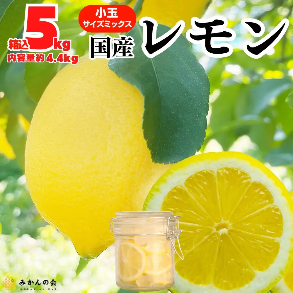 レモン 小玉 国産 箱込5kg(内容量約4.4kg) 秀品 S M L サイズミックス 和歌山県有田産 【みかんの会】
