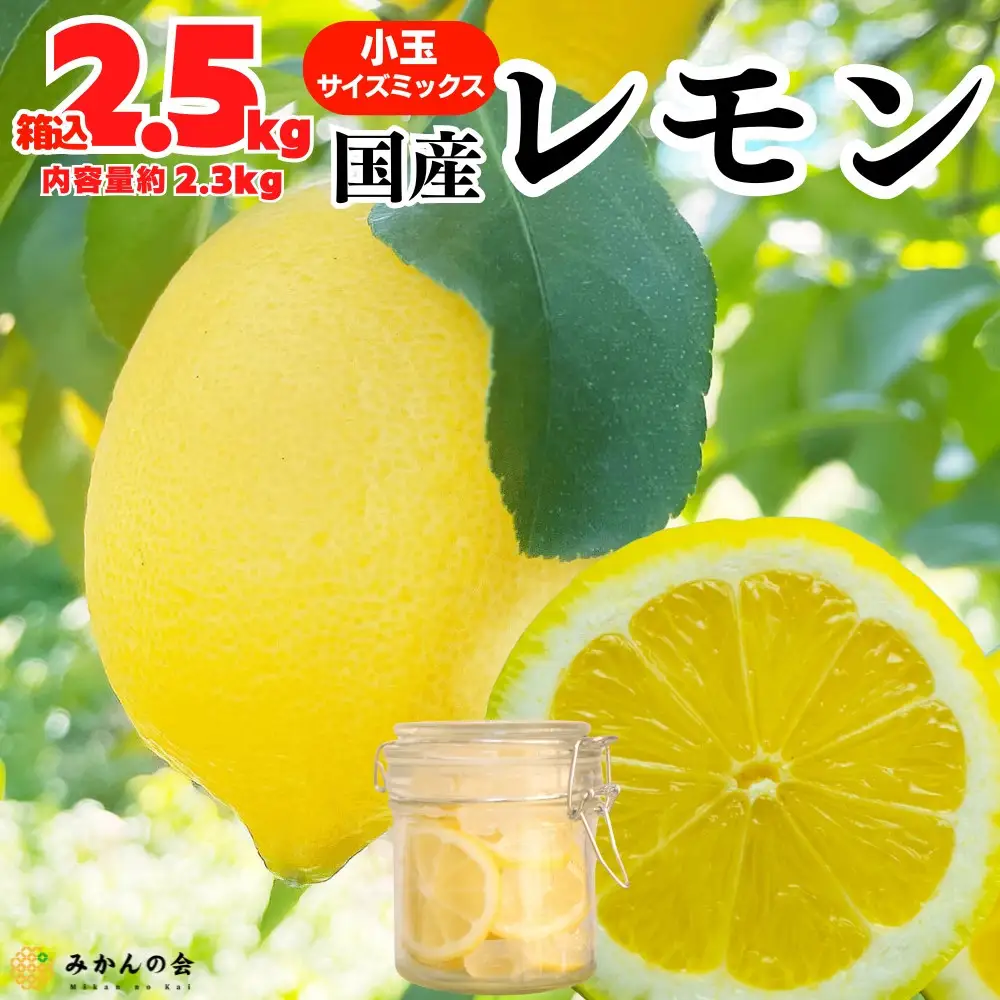 レモン 小玉 国産 箱込2.5kg(内容量約2.3kg) 秀品 S M L サイズミックス 和歌山県有田産 【みかんの会】