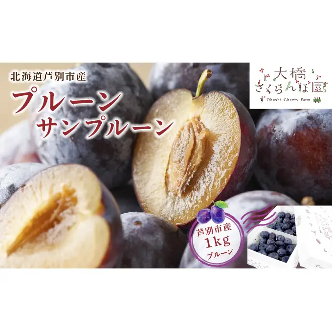 プルーン 1kg 北海道 産地直送 冷蔵 プルーン 生 秋