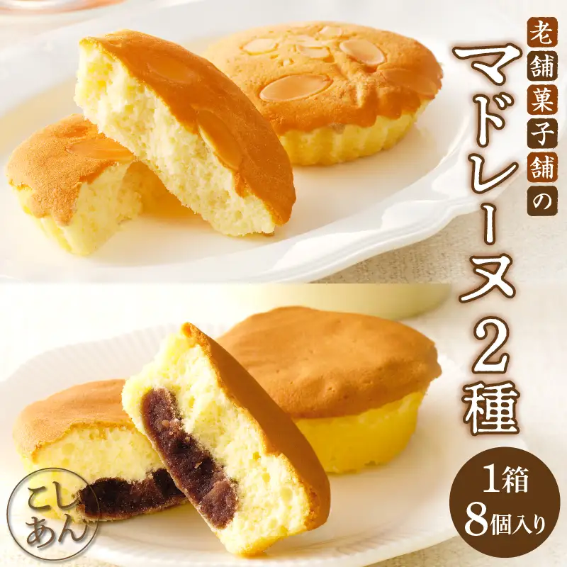【2週間以内発送】老舗菓子舗のマドレーヌ2種セット(合計8個) 焼き菓子 スイーツ 詰め合わせ 洋菓子_T035-0056