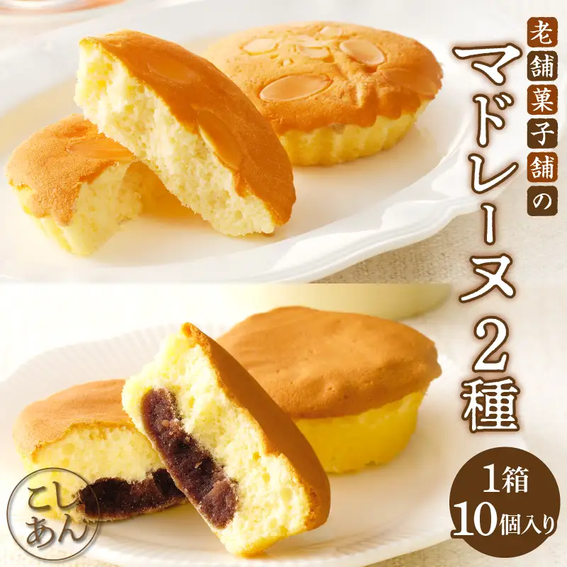 【2週間以内発送】老舗菓子舗のマドレーヌ2種セット(合計10個) 焼き菓子 スイーツ 詰め合わせ 洋菓子_T035-0066