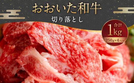 093-1011 おおいた和牛 切り落とし 1kg（250g×4パック）