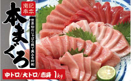 本マグロ トロ＆赤身セット 1kg 【nks105B】