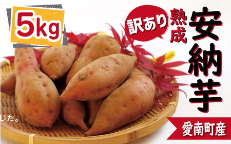 訳あり 熟成 安納芋 5kg サイズ混合 サツマイモ 焼き芋 干し芋 丸干し 冷凍焼き芋 冷やし焼き芋 やきいも 蜜芋 ほしいも スイートポテト フライドポテト いも天 サイズミックス 甘い ねっとり しっとり ほくほく 生芋 新芋 芋 いも 甘藷 あんのういも スイーツ おかず さつまいも 国産 人気 糖度 産地直送 農家直送 数量限定 7000円 愛媛県 愛南町 ミッチーのおみかん畑