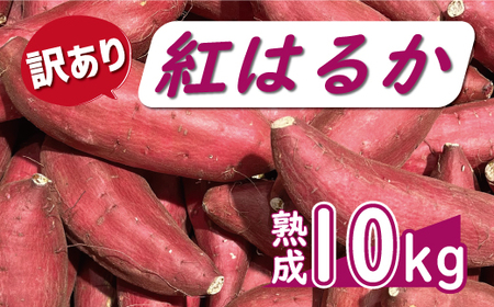訳あり 熟成 紅はるか 10kg サイズ混合 サツマイモ 焼き芋 干し芋 丸干し 冷凍焼き芋 冷やし焼き芋 やきいも 蜜芋 ほしいも スイートポテト フライドポテト いも天 サイズミックス 甘い ねっとり しっとり ほくほく 生芋 新芋 芋 いも 甘藷 べにはるか スイーツ おかず さつまいも 国産 人気 糖度 産地直送 農家直送 数量限定 14000円 愛媛県 愛南町 ミッチーのおみかん畑