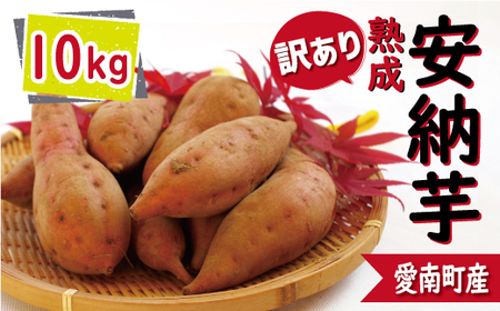 訳あり 熟成 安納芋 10kg サイズ混合 サツマイモ 焼き芋 干し芋 丸干し 冷凍焼き芋 冷やし焼き芋 やきいも 蜜芋 ほしいも スイートポテト フライドポテト いも天 サイズミックス 甘い ねっとり しっとり ほくほく 生芋 新芋 芋 いも 甘藷 あんのういも スイーツ おかず さつまいも 国産 人気 糖度 産地直送 農家直送 数量限定 14000円 愛媛県 愛南町 ミッチーのおみかん畑