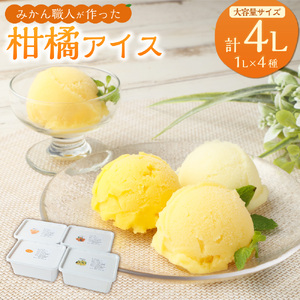 みかん職人が作った柑橘アイス1000ml×4種（夢オレンジ・愛媛みかん・河内晩柑・しらぬい）シャーベット ミカン 蜜柑 オレンジ 晩柑 しらぬい 果物 果実 デザート スイーツ 食べ比べ セット 冷凍 四国 愛媛県 【えひめの町（超）推し！（愛南町）】（294-1）
