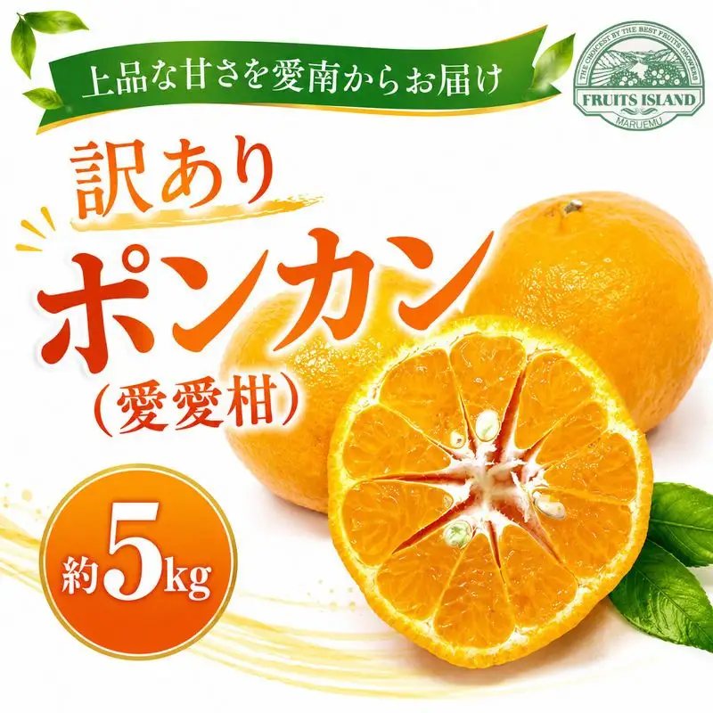 先行予約 訳あり ポンカン 約5kg 愛愛柑 柑橘 ぽんかん 愛媛 愛南 マルエム直販