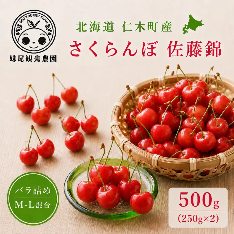 さくらんぼ 500g 佐藤錦 M-L混合 サクランボ