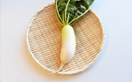 【2025年11月頃より順次発送】和らぎ農法　ほっこり便　大根編 栗東市 / 株式会社　ワダケン [BIBM013]