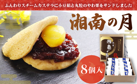 和菓子 湘南の月 10個 ギフト 和菓子 スイーツ
