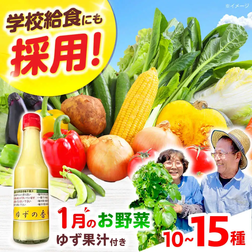 高槻野菜詰め合わせ 1月（10〜15種）＆農家さん自家製ゆず果汁[AOCS003] 野菜