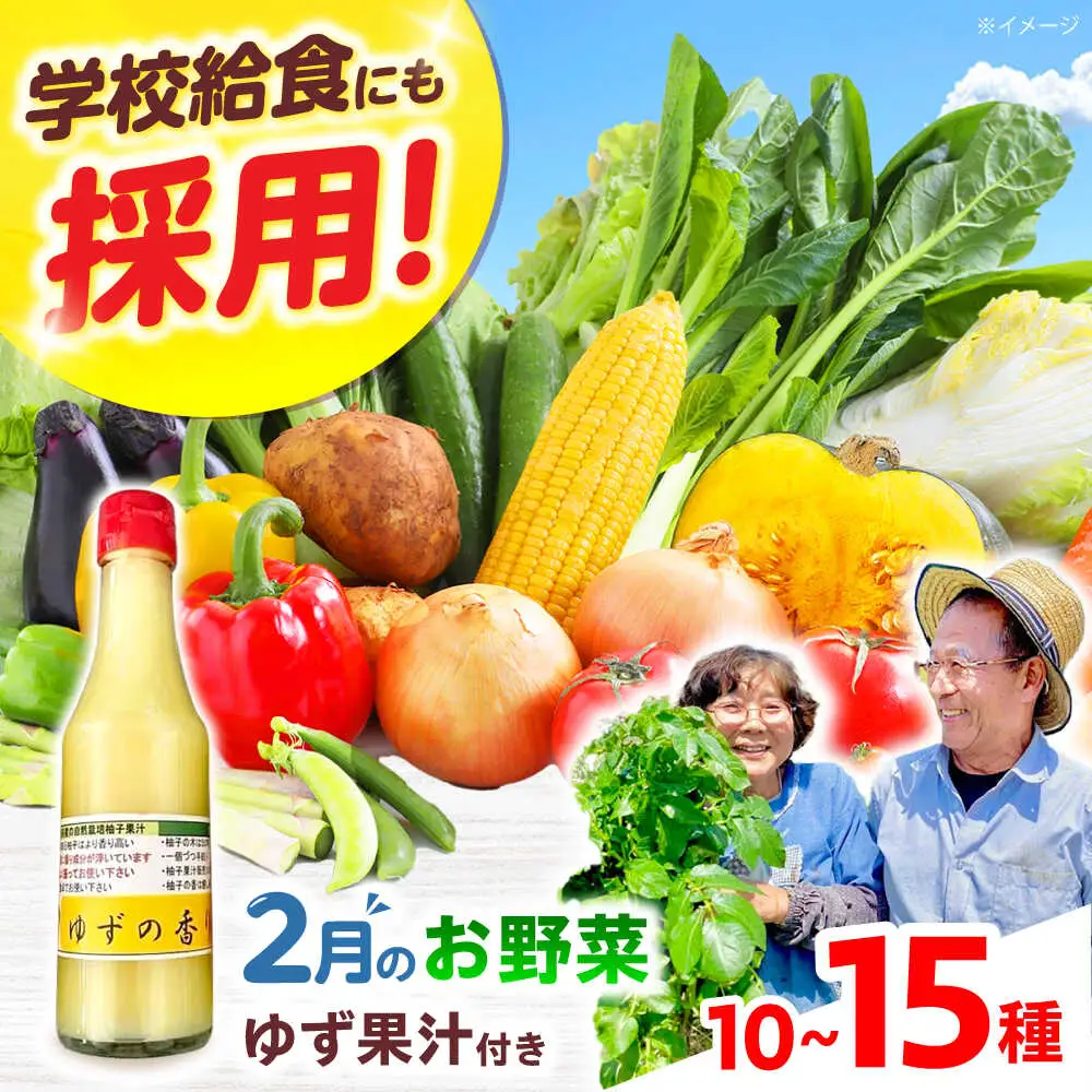 高槻野菜詰め合わせ 2月（10〜15種）＆農家さん自家製ゆず果汁[AOCS004] 野菜