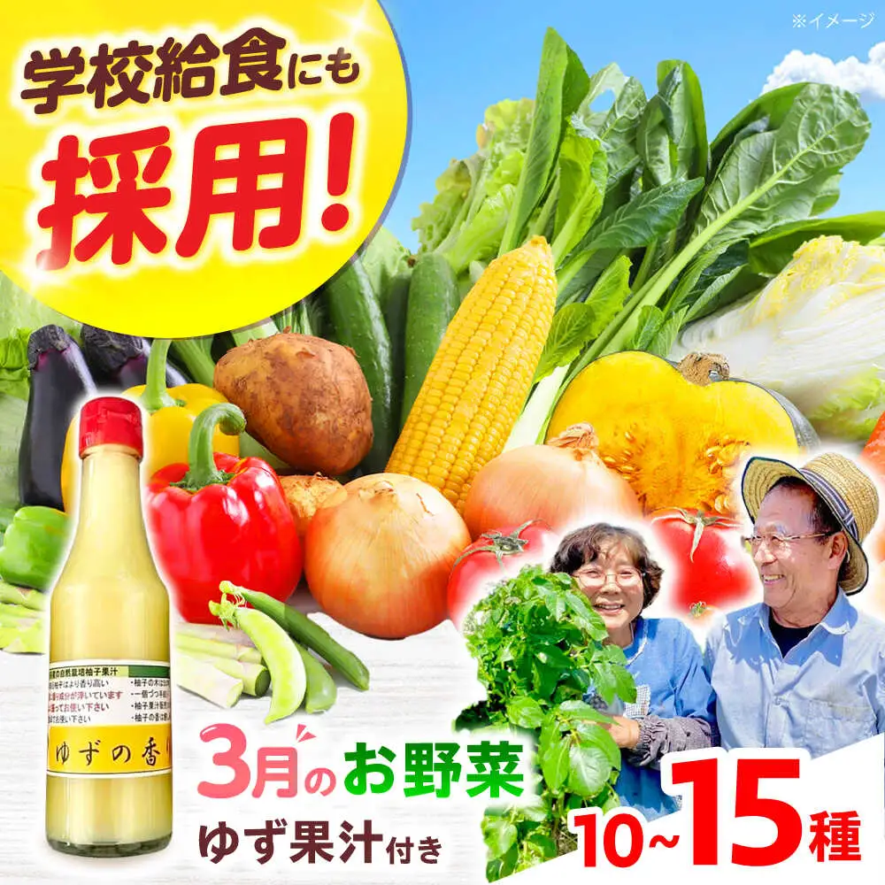 高槻野菜詰め合わせ 3月（10〜15種）＆農家さん自家製ゆず果汁[AOCS005] 野菜