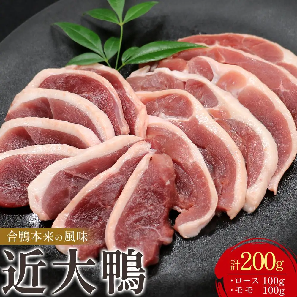 近大鴨 合計200g ロース 100g モモ 100g セット