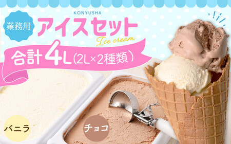 ＜ R8年熊本地震復興支援 ＞ 2Lアイス セット (バニラ・チョコ) 合計4L アイス 自家製 業務用 大容量 【2025年6月下旬順次発送開始】