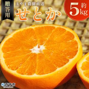 【先行予約】＜玉やま農園直送 せとか 約5kg 贈答用＞ 数量限定 期間限定 5キロ みかん ミカン 蜜柑 柑橘 フルーツ 果物 果実 くだもの 特産品 甘い ジューシー 旬 ギフト 贈り物 プレゼント 愛媛県 西予市 【常温】『2027年3月上旬～3月下旬迄に順次出荷予定』MTN0002