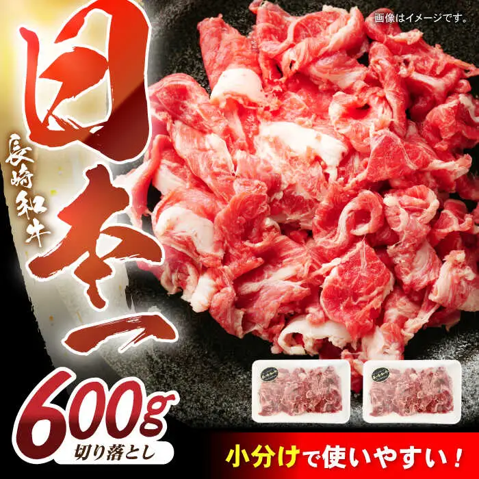 長崎和牛 切り落とし 300g×2パック /長崎県産 長崎和牛 牛肉 和牛 牛 切り落とし / 諫早市 / 有限会社長崎フードサービス [AHDD001]