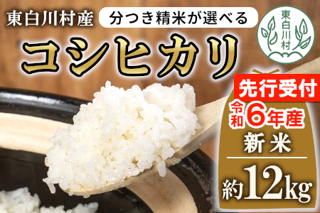 お好みに合わせて精米！令和6年産 コシヒカリ 玄米 12kg 新米 先行受付 東白川村産 お米 こめ 10000円 一万円