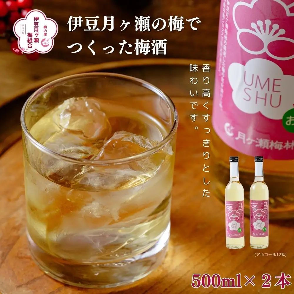伊豆の月ヶ瀬で人気の梅シロップが今度はお酒になりました！ 伊豆月ヶ瀬の梅でつくった梅酒２本セット