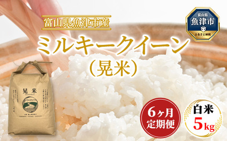 【6ヶ月定期便】【令和6年度米】「魚津のミルキークイーン（晃米）」5kg（白米） ｜新米 環境配慮 MK農産 お米 ブランド米 銘柄米 精米 ご飯 おにぎり 産地直送 甘み 粘り もちもち ※2024年10月下旬頃より順次発送予定 ※北海道・沖縄・離島への配送不可