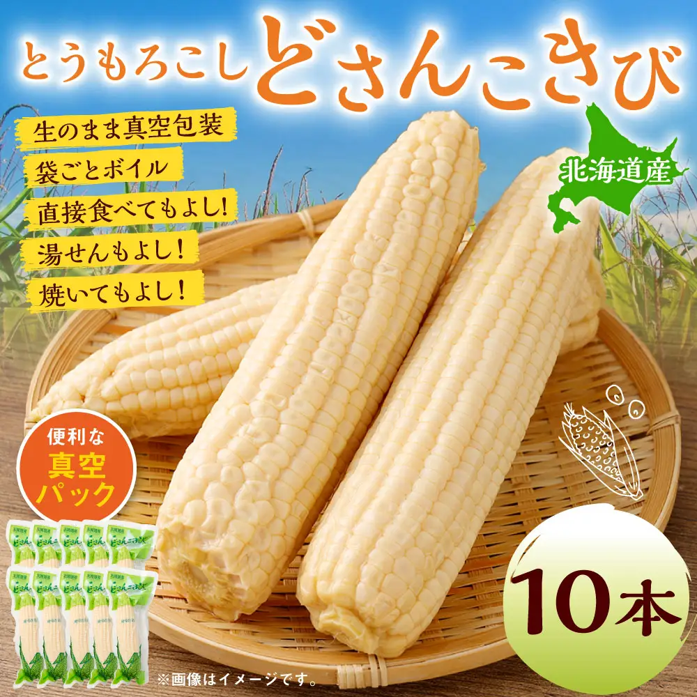 どさんこきびホワイト10本 北海道産 