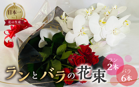 ランとバラの花束 ラン2本 バラ 6本 花