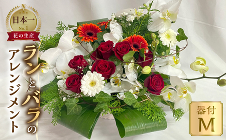器に盛ったランとバラのアレンジ M 花 薔薇 胡蝶蘭 花