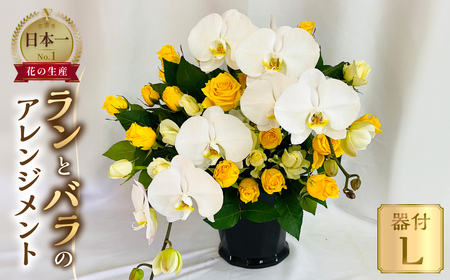 器に盛ったランとバラのアレンジ L 花 薔薇 胡蝶蘭 花