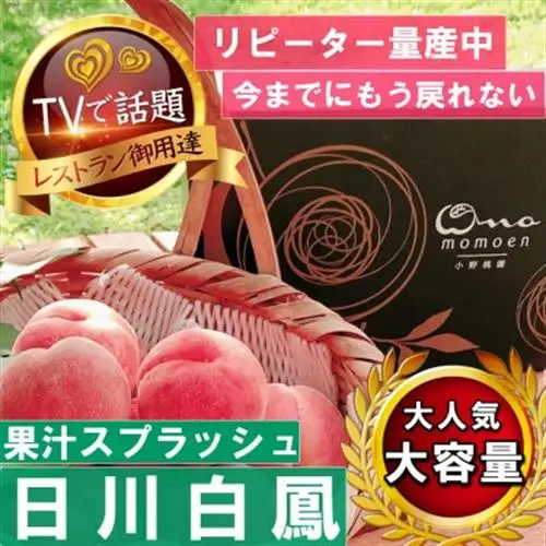 2027年発送先行受付【果汁スプラッシュ日川白鳳】人気品種指定ギフト5年連続TV出演話題ブランド桃【配送不可地域：離島・北海道・沖縄県・中国・四国・九州】【1465185】