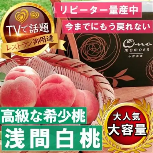 【2027年発送先行受付】市場にほぼ出回らない浅間白桃☆品種指定ギフト5年連続TV出演話題ブランド【配送不可地域：離島・北海道・沖縄県・中国・四国・九州】【1465263】