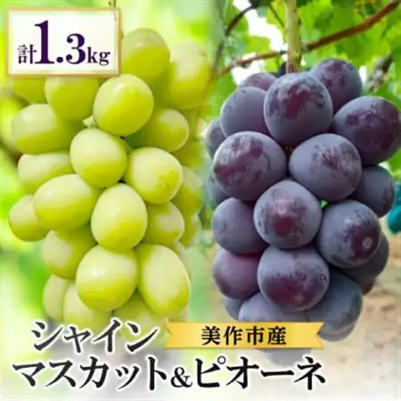 岡山県美作市産　シャインマスカット＆ピオーネ　合計約1.3kg(各1房)_果物・フルーツ ぶどう・マスカット  ブドウ 葡萄 _【配送不可地域：離島・北海道・沖縄県】【1477223】