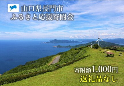 (10099)山口県長門市ふるさと応援寄付金1,000円分 返礼品なし