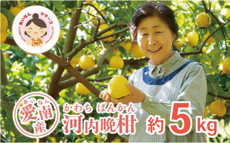 【 先行予約 】 あいなんマザーズ の 河内晩柑 5kg (発送期間：4月中旬?7月上旬) 贈答用 5kg 正品 減農薬 先行 事前 予約 受付 みかん 河内晩柑 かわちばんかん 愛南ゴールド 文旦 グレープフルーツ 和製 おいしい 愛媛 産地直送 国産 農家直送 果樹園 期間限定 数量限定 特産品 ジュース 人気 贈答 限定 愛南 愛媛県 新鮮 果実 さわやか 風味 甘い フルーツ 果物 柑橘