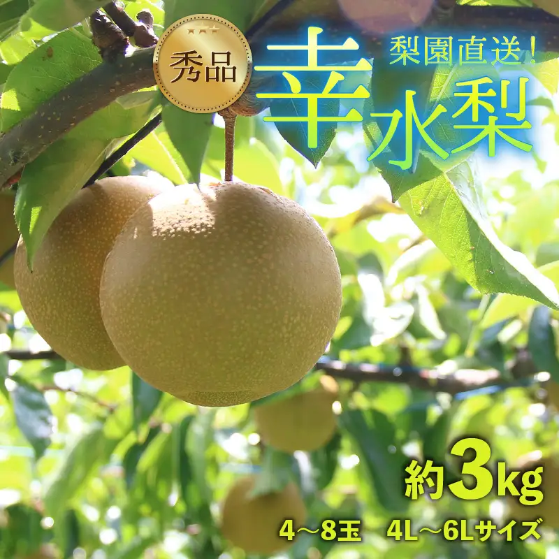 【先行予約】上野梨園の幸水梨 約3kg  4L～6L【秀品】《数量限定》梨園直送！ / 期間限定 果物 フルーツ 農家直送 シャキシャキ もぎたて 旬 お取り寄せ ※2027年8月下旬より順次発送 [aw077-a024]