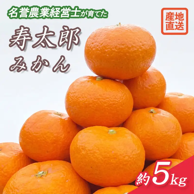 寿太郎 みかん 約 5kg M ～ 2L 温州 みかん