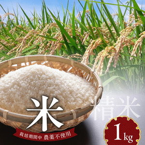 米 1kg N0182-YA0507