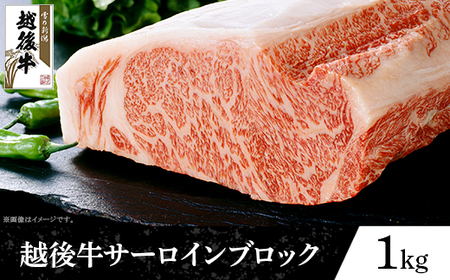 63-42B新潟県産 越後牛サーロインブロック1kg