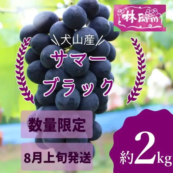 【予約受付・数量限定】林ファーム園主イチオシ！犬山産 極甘 サマーブラック 2キロ [0490]